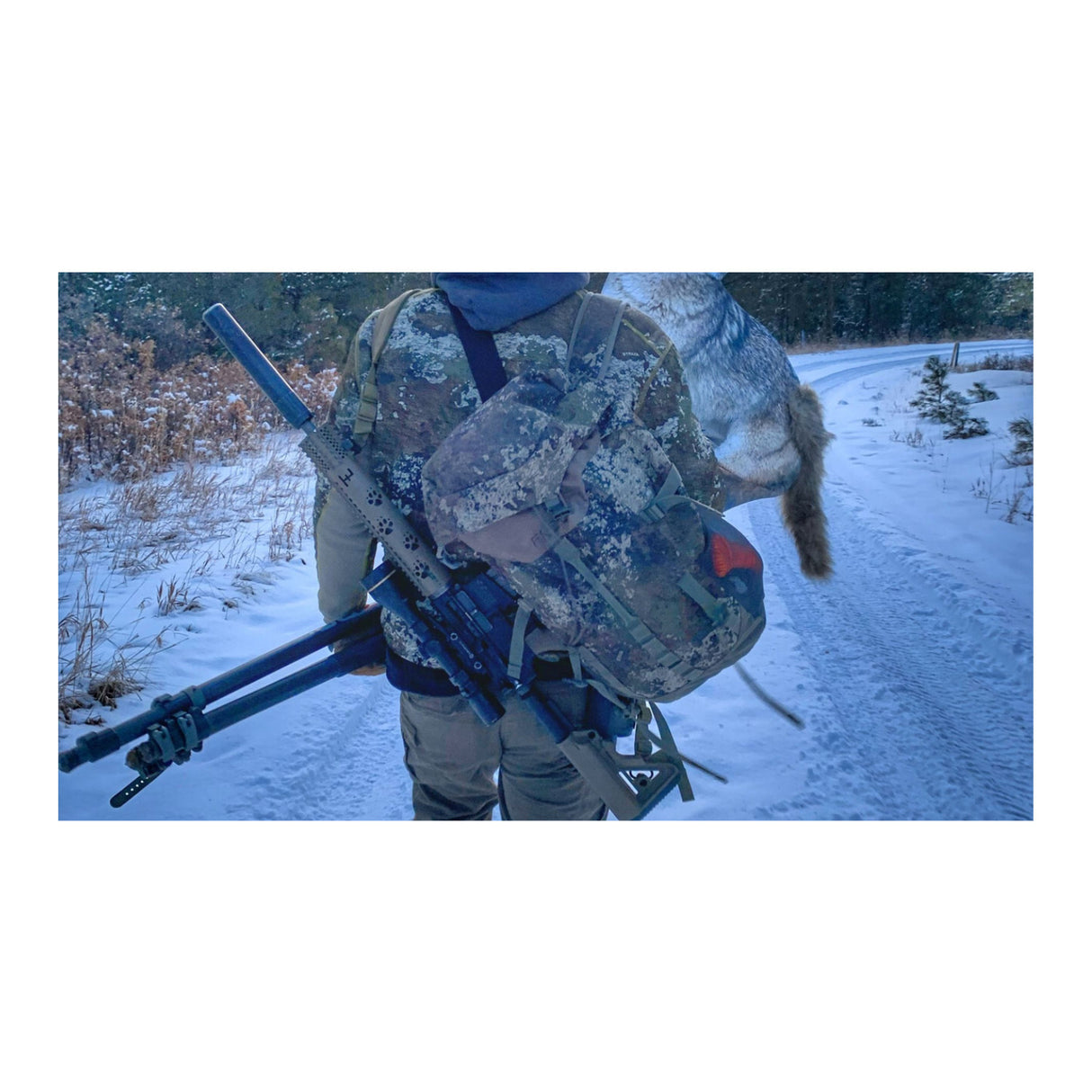 Montana Decoy The Song Dog Realistic Coyote Decoy 3D Moving Tail Carrier Bundle