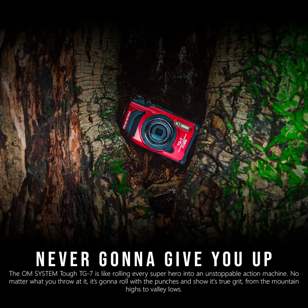 Olympus Tough TG-7 12MP Digital Camera (Black) Bundle with LG-1 LED Light Guide