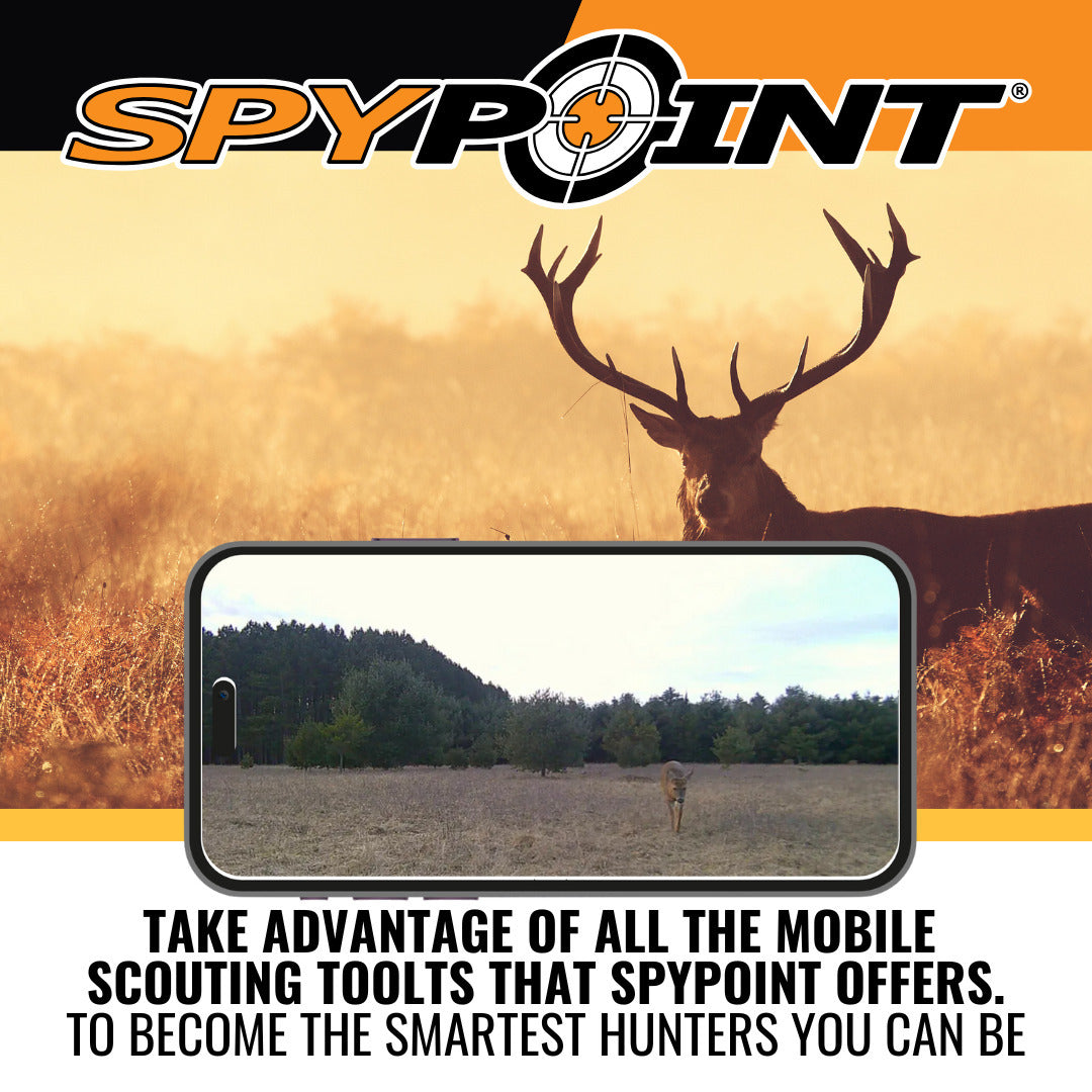 Spypoint LINK-MICRO-LTE Cellular Trail Camera with 32GB Micro SD Card (2-Pack)