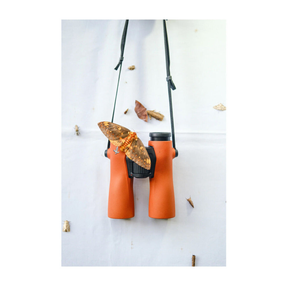 Swarovski NL PURE 12x42 Binoculars with SWAROVISION Technology (Burnt Orange)
