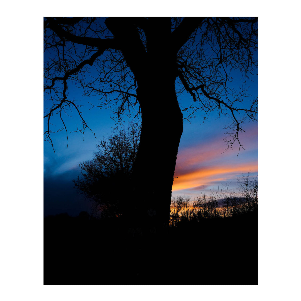 Fujifilm X-T50 BODY, CHARCOAL SILVER with XF16-50MM LENS KIT