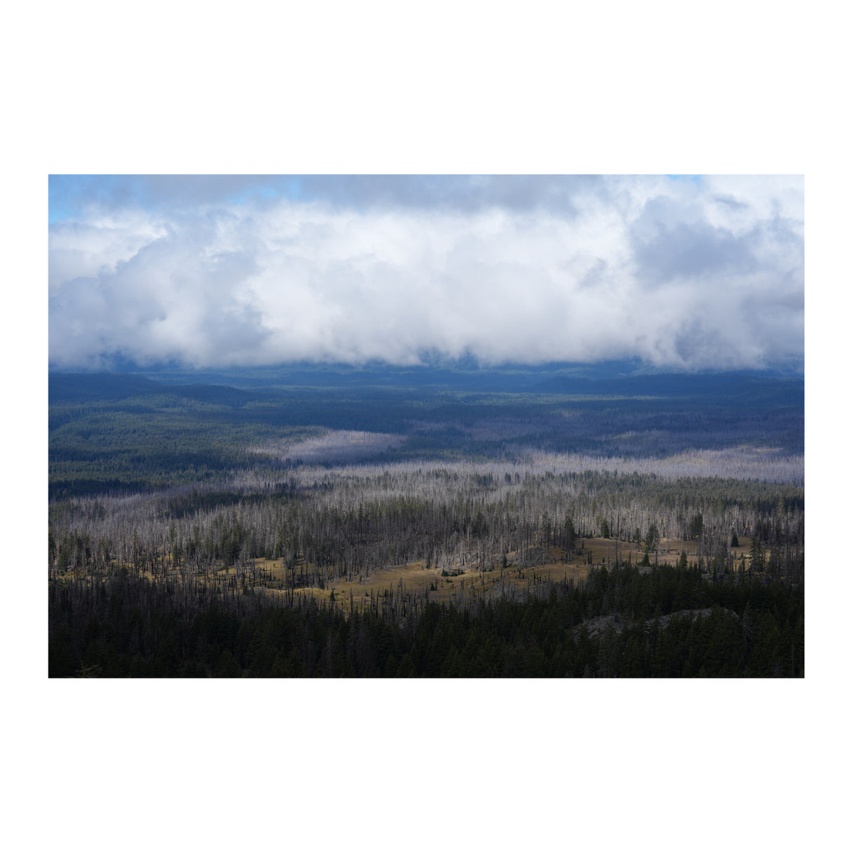 Sony Alpha 7V Full-Frame Mirrorless Interchangeable Lens Camera (Body Only)