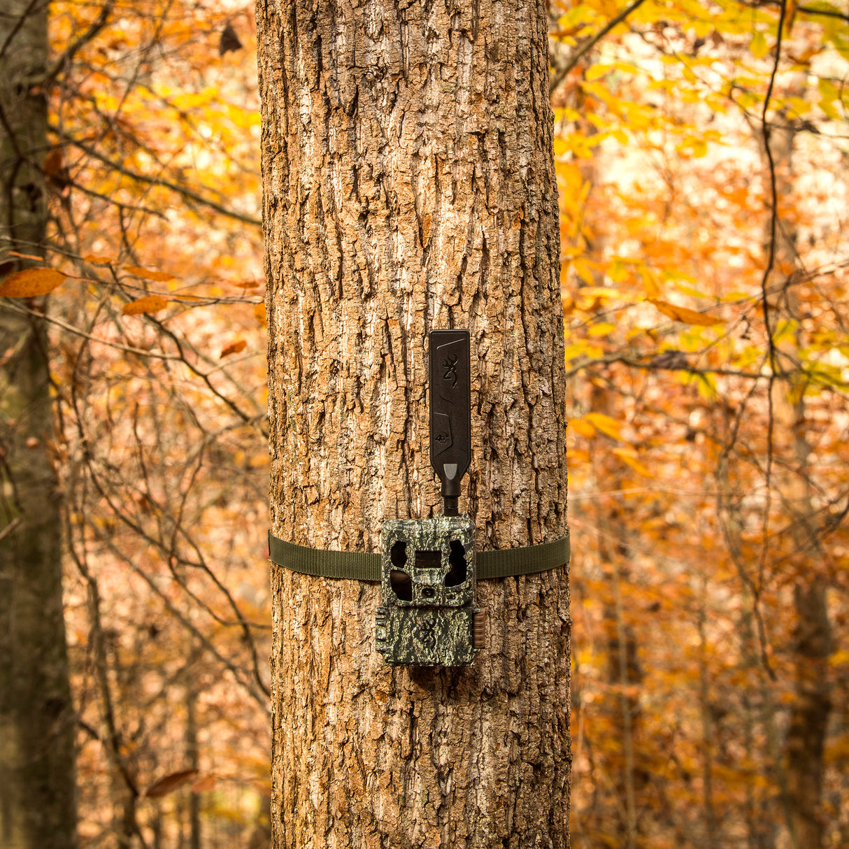 Browning Trail Camera Defender Wireless Pro Scout Max HD AI 46MP Bundle