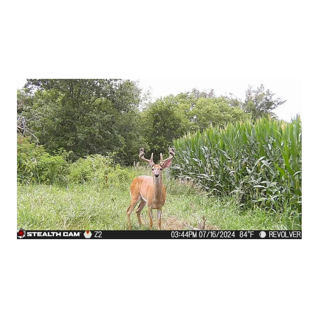 Stealth Cam Revolver Pro 2.0 Trail Camera with Solar Battery Pack