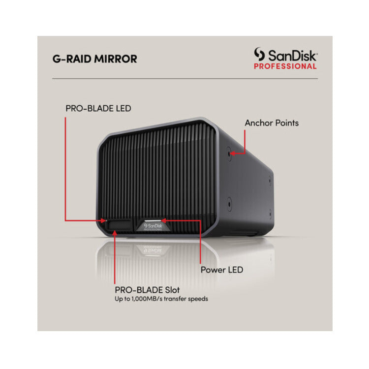 SanDisk Professional 48TB G-RAID Mirror 2-Bay RAID Thunderbolt 3 Array (24TB)