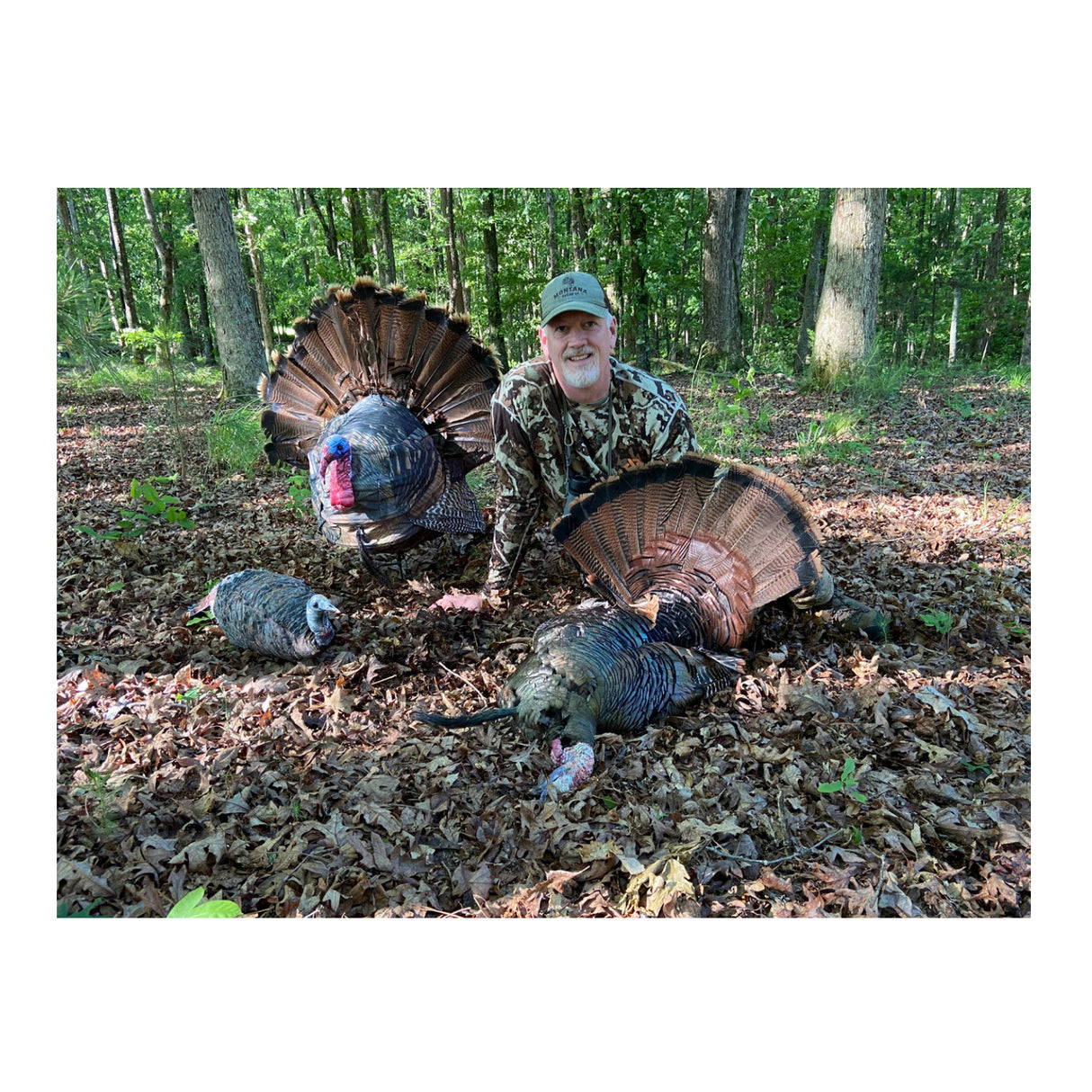 Montana Decoy Wiley Tom 3D Turkey Decoy - Ultralight Collapsible 3D Design