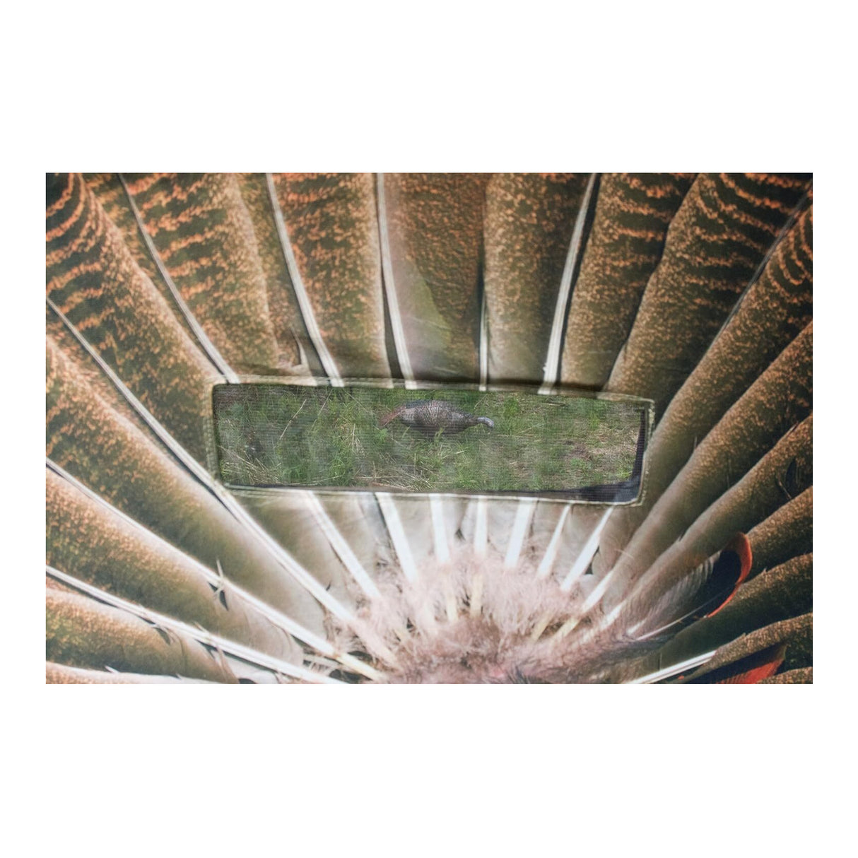 Montana Decoy Fanatic Reaping Decoy with See-Through Mesh Window