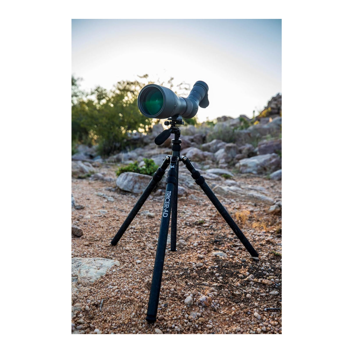 Tricer-AD Sit to Stand Carbon Fiber Tripod with Inverted Leg Design