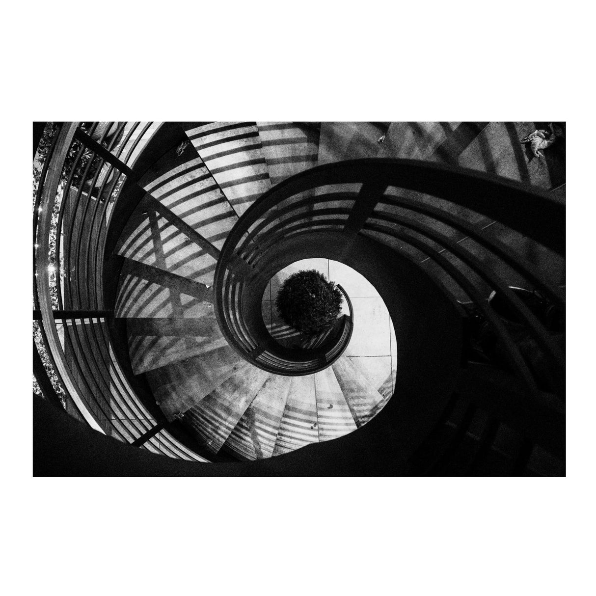 RICOH GR IV Monochrome Camera - 25.74MP APS-C Sensor, Built-In Red Filter