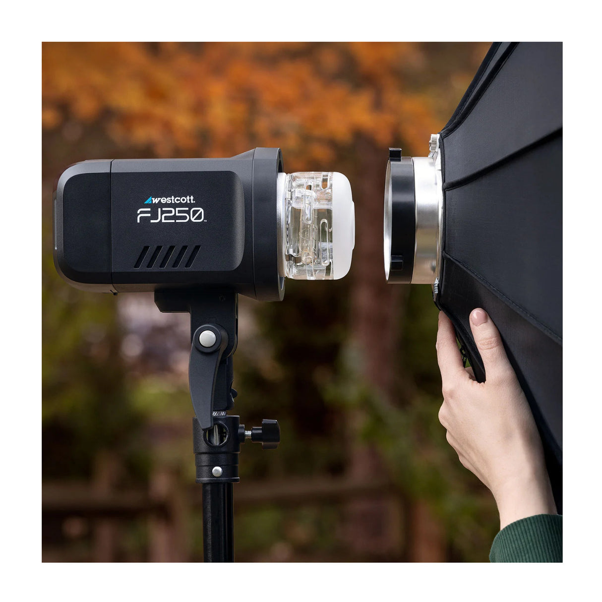 Westcott FJ250 Strobe 1-Light Backpack Kit with FJ-X3 Wireless Trigger for Sony