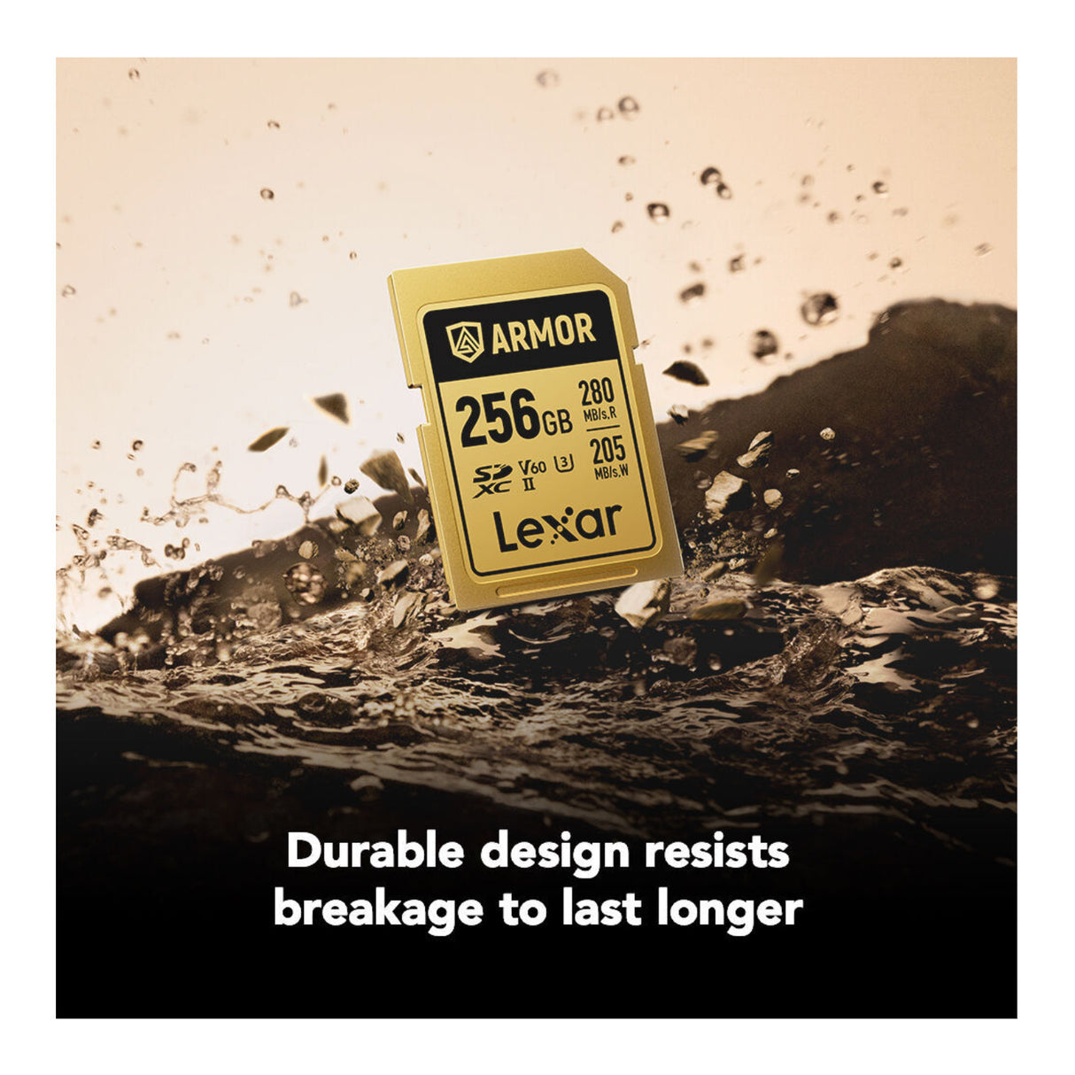 Lexar Professional ARMOR GOLD 256GB UHS-II V60 SDXC Memory Card