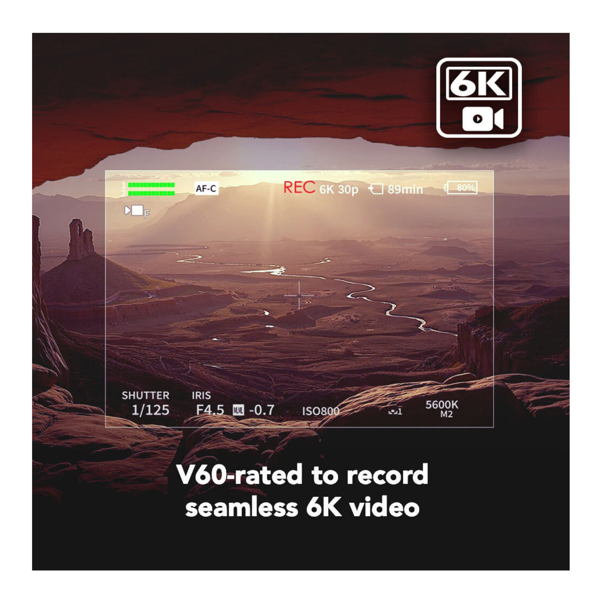 Lexar Professional ARMOR GOLD 256GB UHS-II V60 SDXC Memory Card