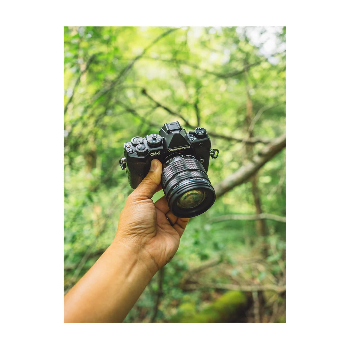OM SYSTEM OM-5 Mark II Mirrorless Camera with 12-45mm f/4 PRO Lens (Black)
