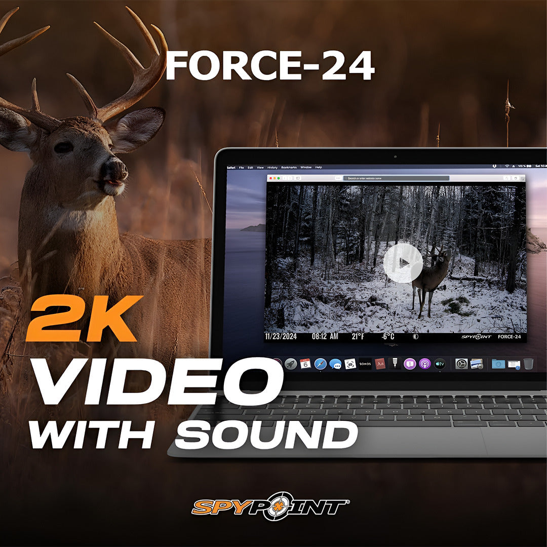 Spypoint Force-24MP Non-Cellular Trail Camera Bundle (4 Pack) with Accessories