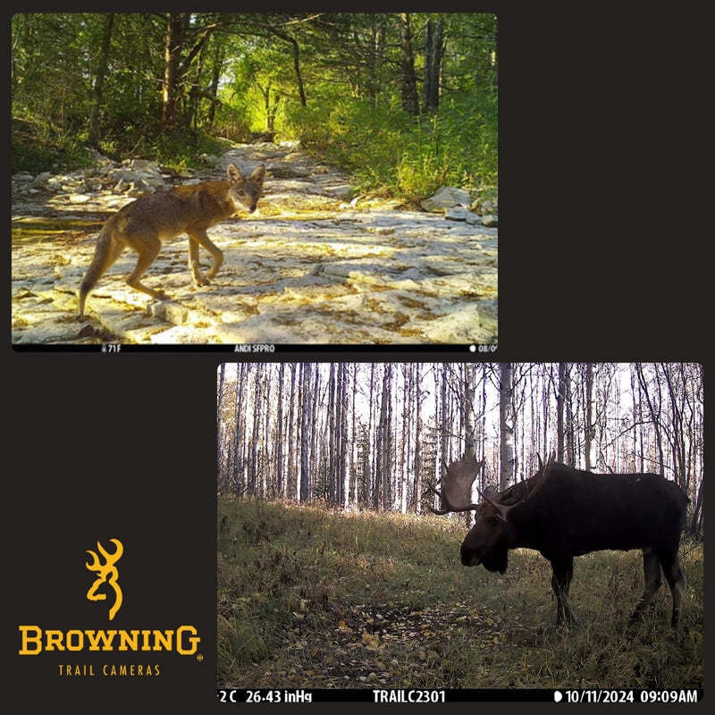 Browning Dark Ops Pro X 1080 Trail Camera (4-Pack) with Accessories Bundle