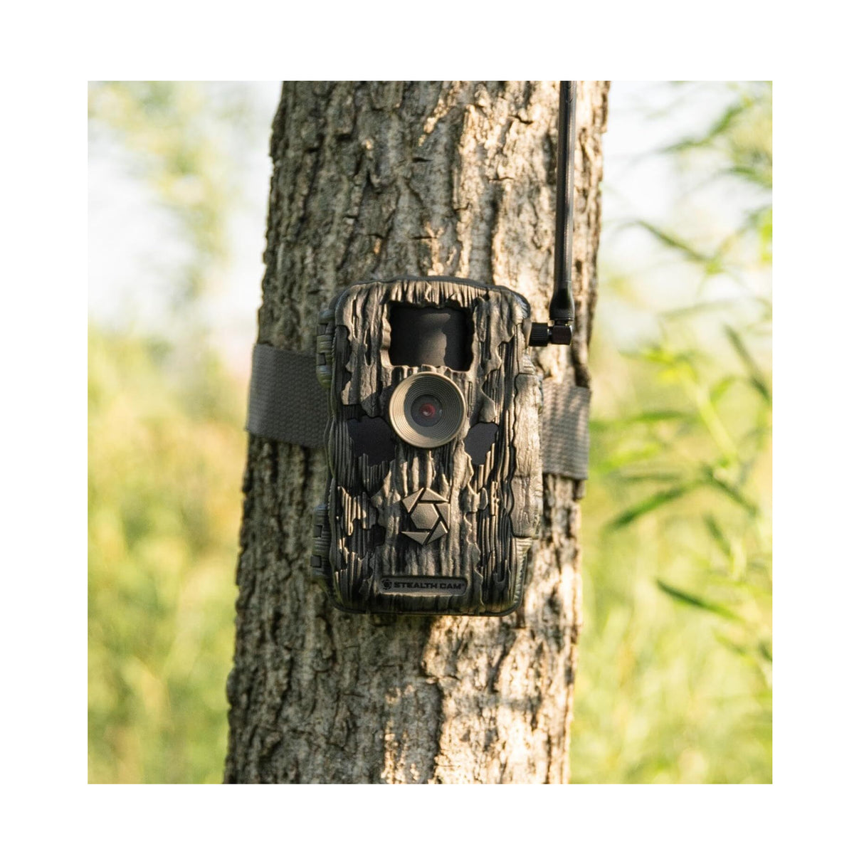 Stealth Cam Fusion X-Pro 36MP 720P Cellular Dual Sim Trail Camera 2-Pack Bundle