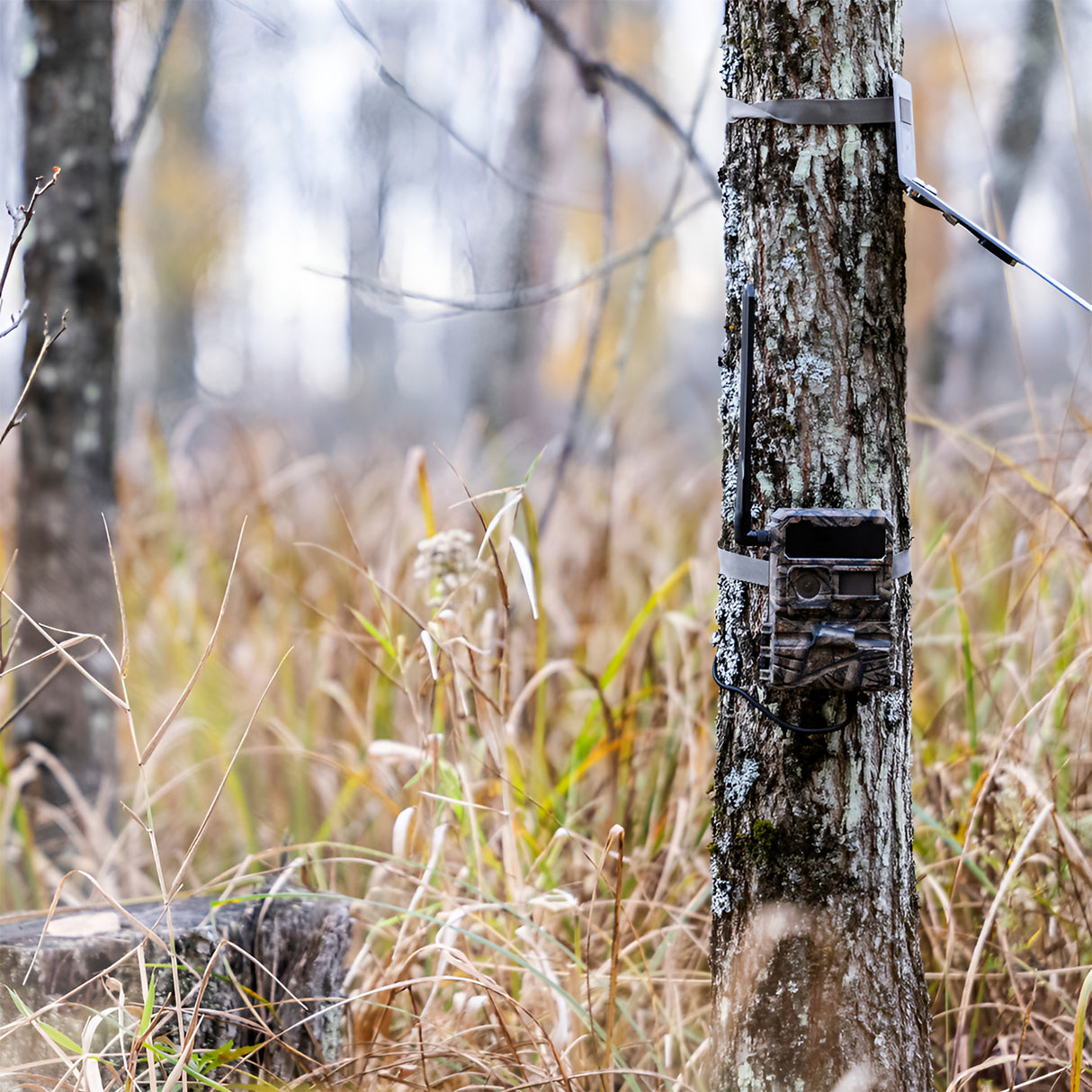 Yellowstone Y2 Black Wide Lens Trail Camera (10-Pack) with Security Box and Accs