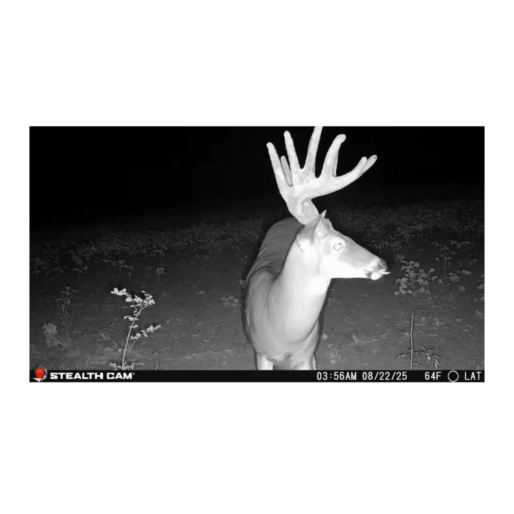 Stealth Cam Deceptor Max 3.0 50MP Cellular Trail Camera with 1440p Video