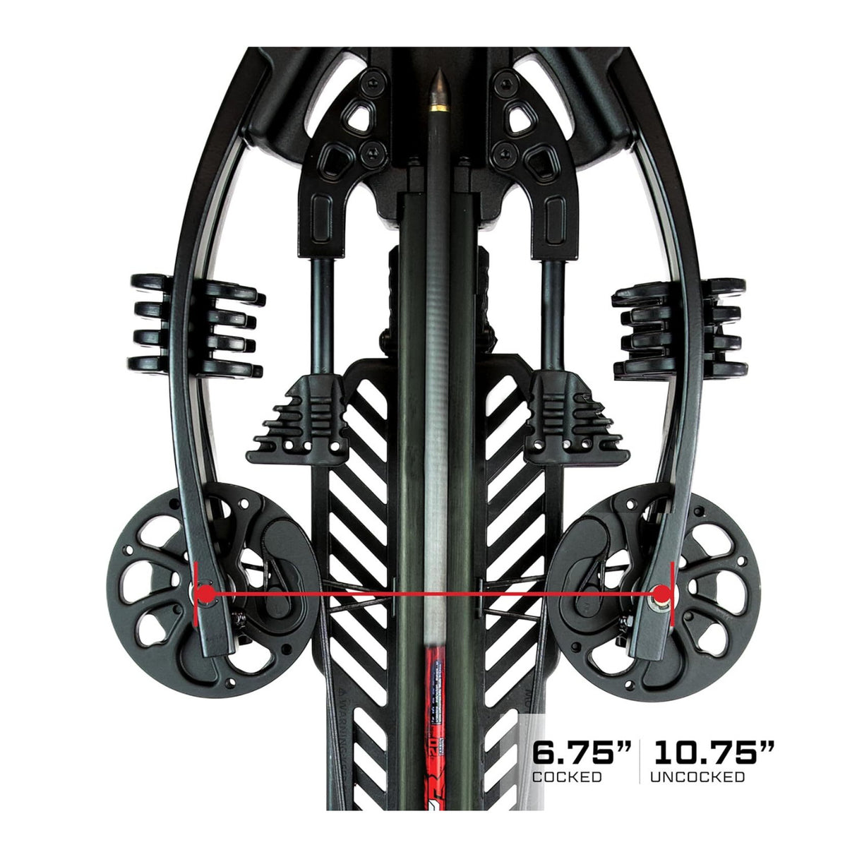 Killer Instinct Vital-X with DC Triggerbox Crossbow Package