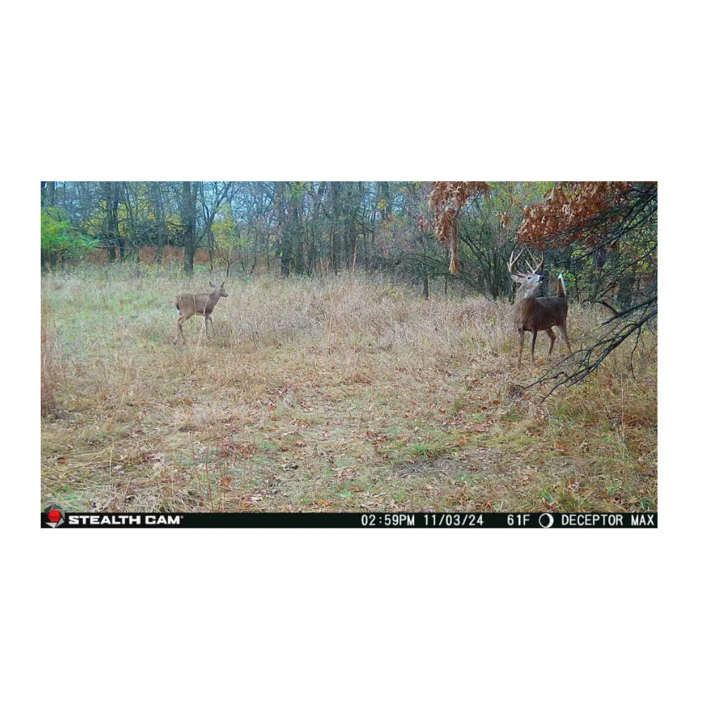 Stealth Cam Deceptor Max 3.0 Cellular Trail Camera (10-Pack) with Accessories