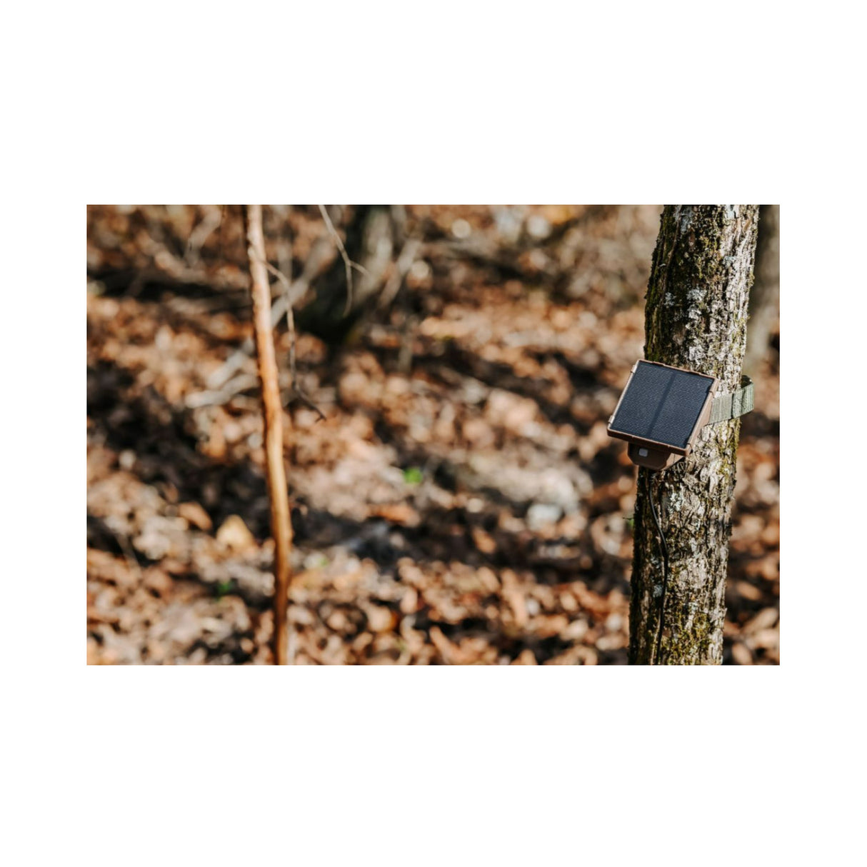 Browning Trail Cameras Universal Solar Camera Power Pack (8-Pack) with Card Reader Bundle