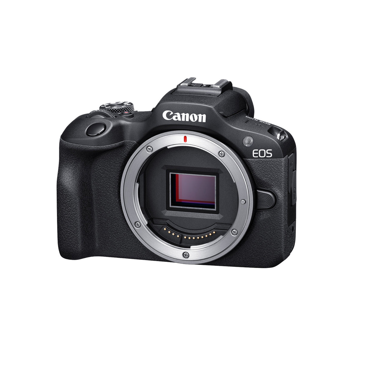 Canon EOS R100 Mirrorless Camera with Gadget Bag and Memory Card Bundle