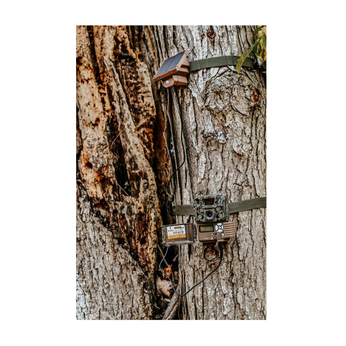 Browning Trail Camera Defender Wireless Pro Scout Max HD-DV (4-Pack) Bundle with Solar Power Pack - 5