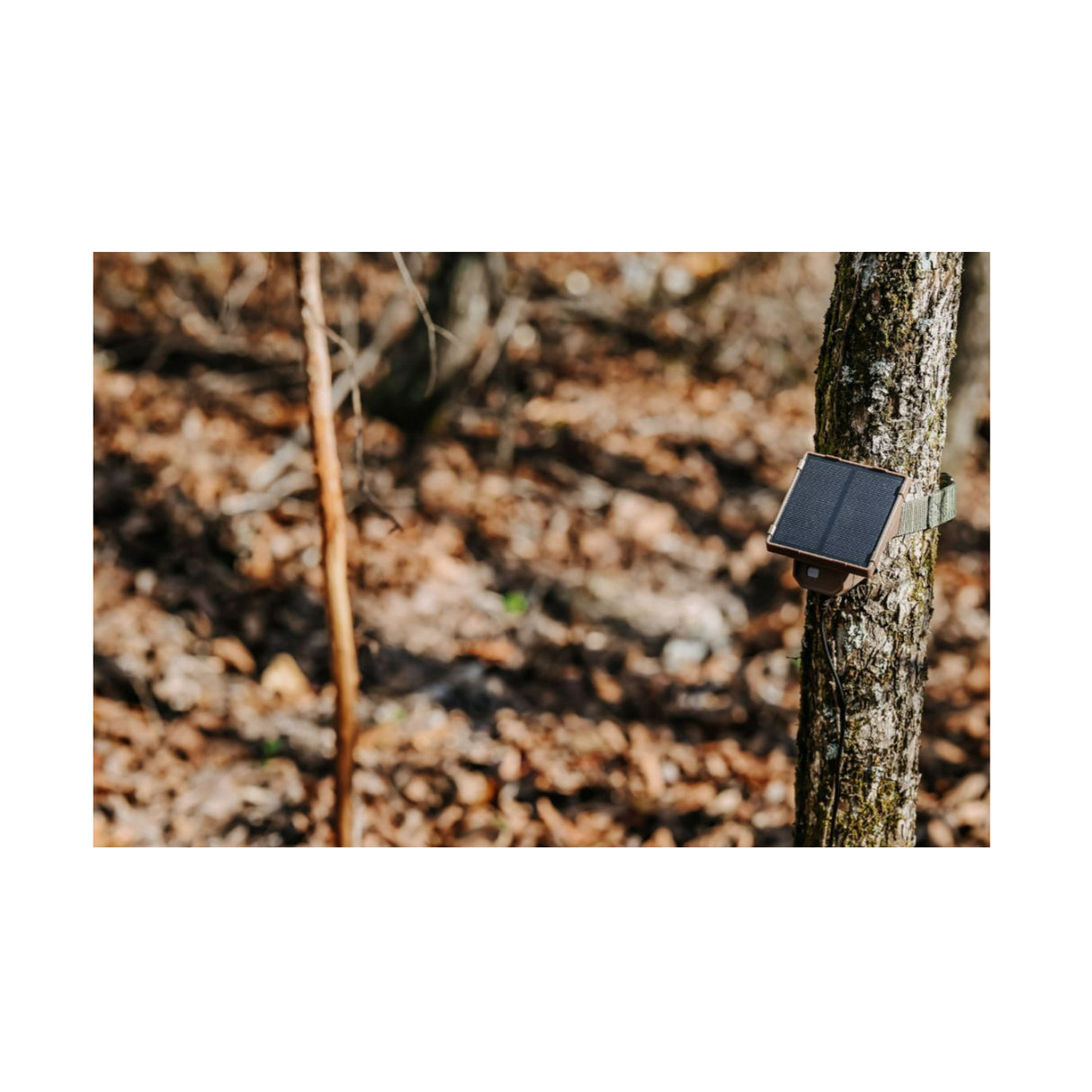 Browning Trail Camera Defender Wireless Pro Scout Max HD-DV (2-Pack) Bundle with Solar Power Pack - 7