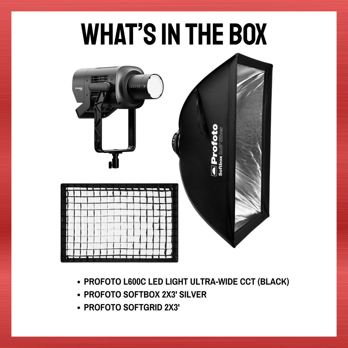 Profoto L600C LED Light Bundle with Rectangular Softbox and Softgrid