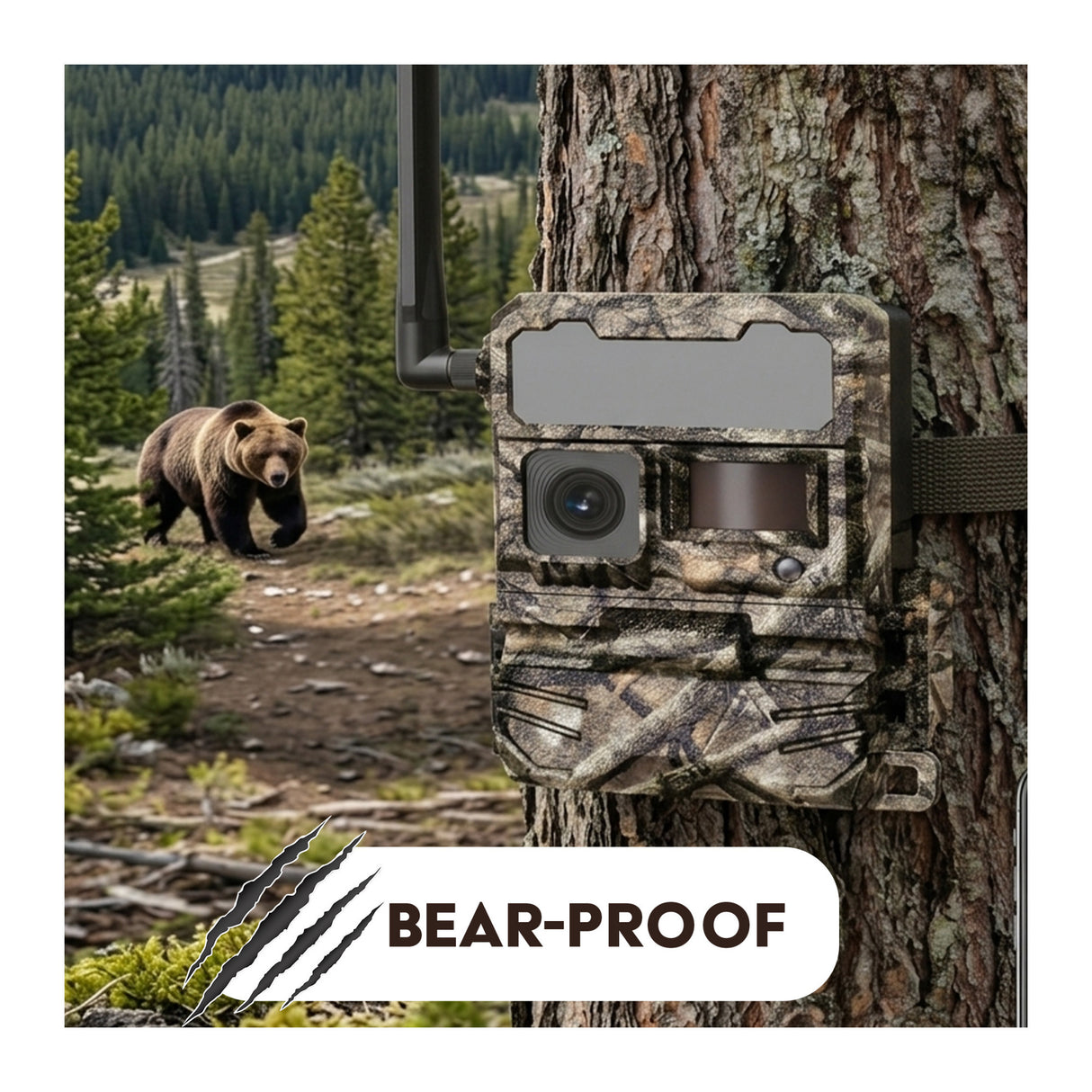 Yellowstone Y2 Camera Bundle with 5,000 mAh Battery Packs, Card Reader, and Accessories (10-Pack) - 7