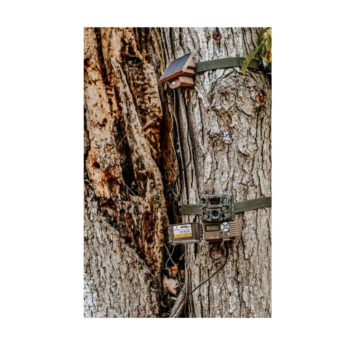 Browning Trail Camera Defender Wireless Pro Scout Max HD-DV with Solar Power Pack and Accessories - 5
