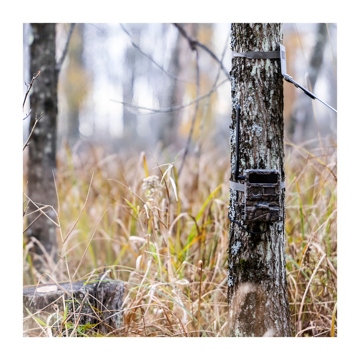 Yellowstone Y2 Black Wide Lens Trail Camera Bundle with High-Speed Card Reader, and Accessories - 8