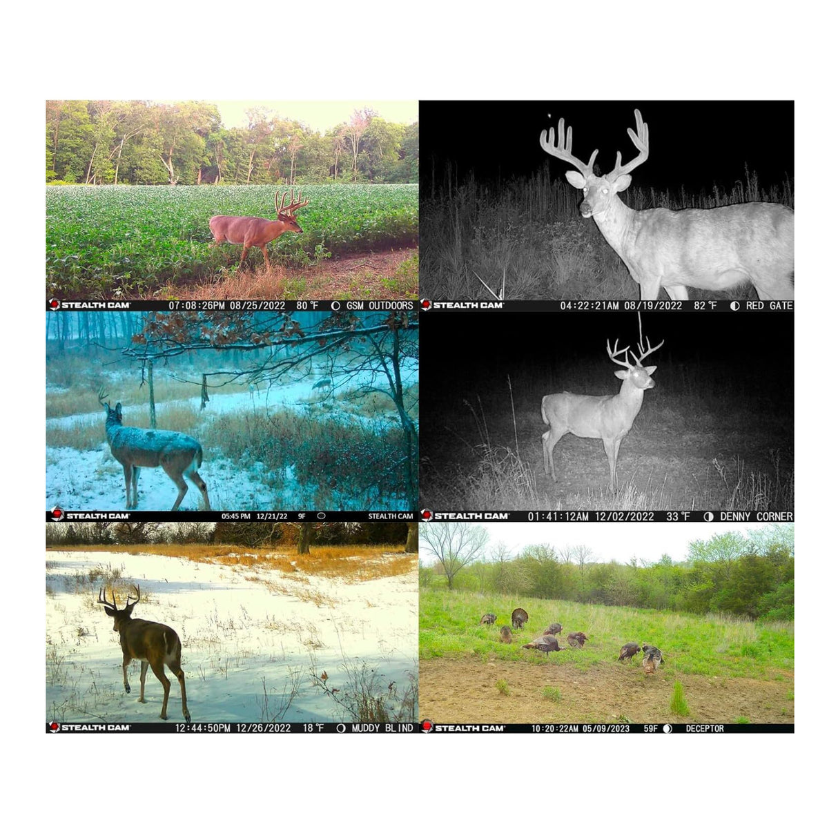 Stealth Cam Deceptor Dual Network Trail Camera (2 Pack) Bundle with 32GB Memory Card & Card Reader - 7
