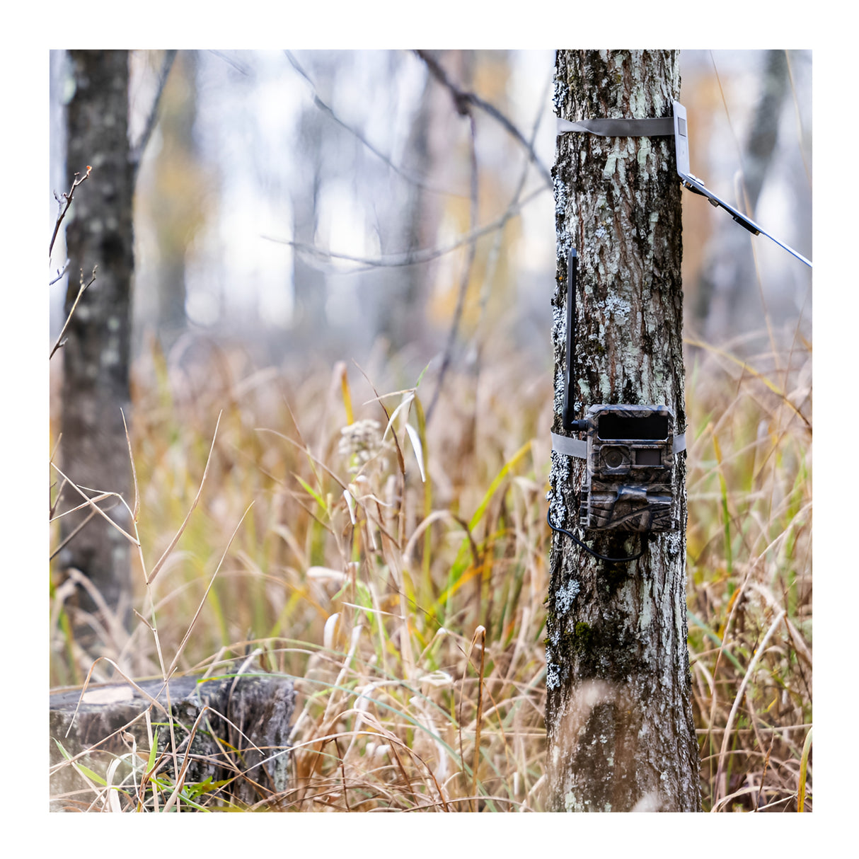 Yellowstone Y2 Cellular Trail Camera Bundle with High-Speed Card Reader, and Accessories (6-Pack) - 7