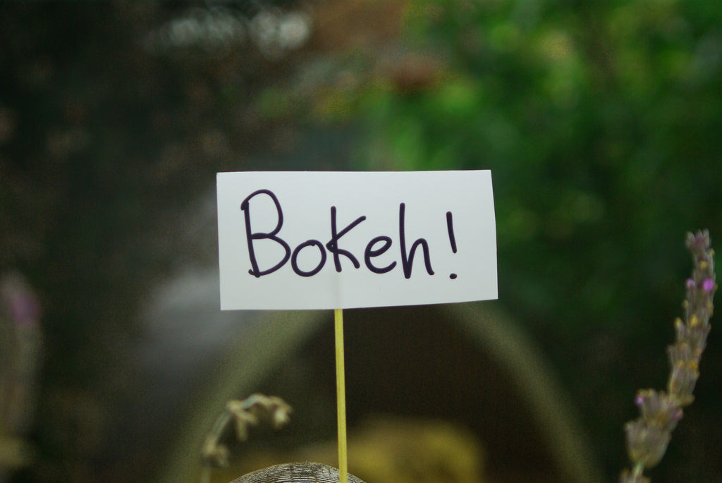 DSLR Cameras: A Beginner's Guide to Beautiful Bokeh