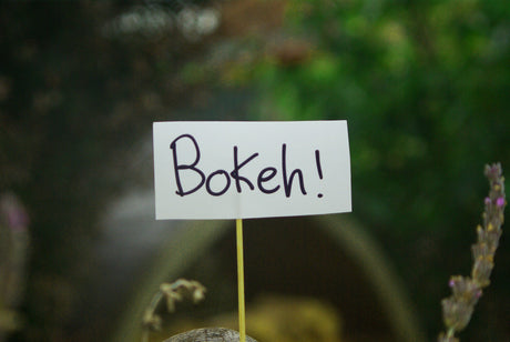 DSLR Cameras: A Beginner's Guide to Beautiful Bokeh