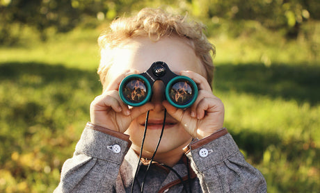 Everything to Consider | An Ongoing Binoculars Buying Guide Just for You