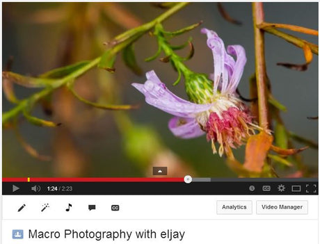 Macro Photography Essentials