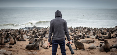 4 Nature Photography Tips For Beginners