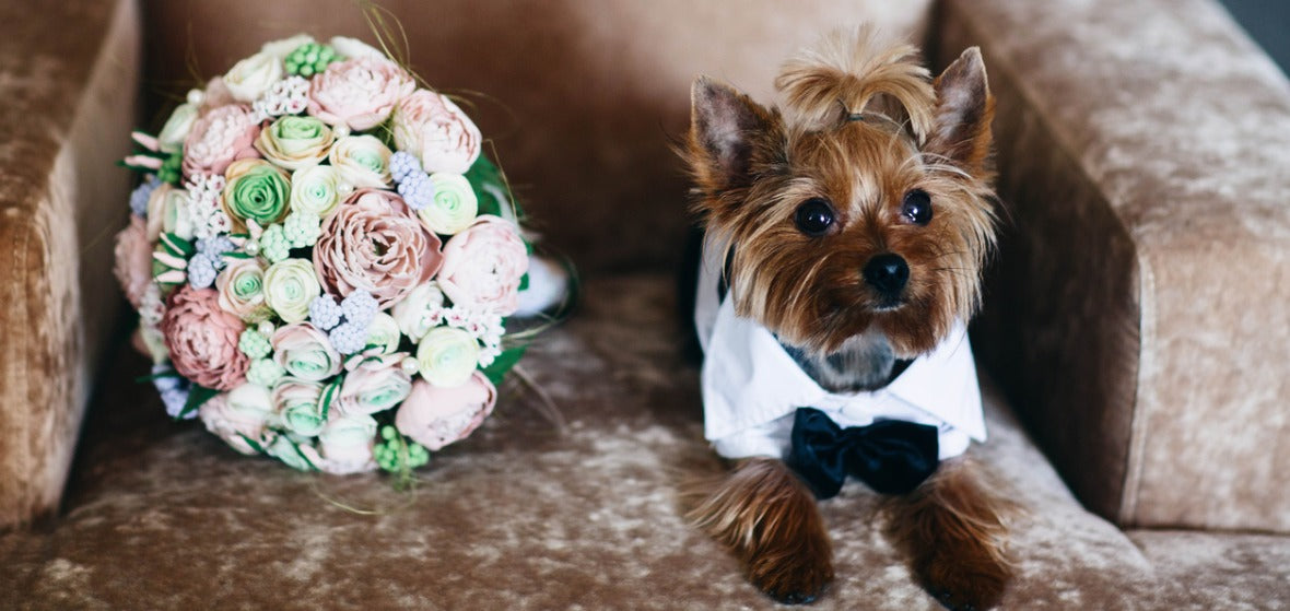 The Only 3 Wedding Photography Lenses You Need