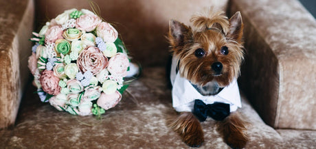The Only 3 Wedding Photography Lenses You Need