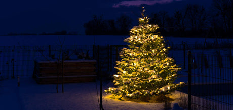 How To Photograph Holiday Lights At Night