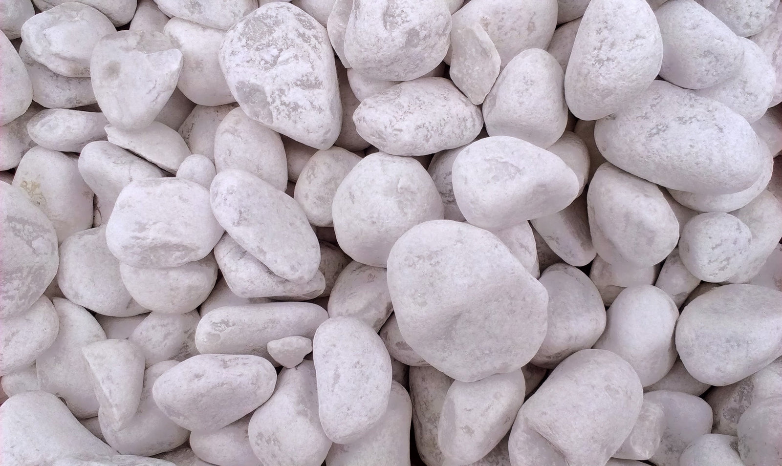 How to Adjust the White Balance on Your Camera