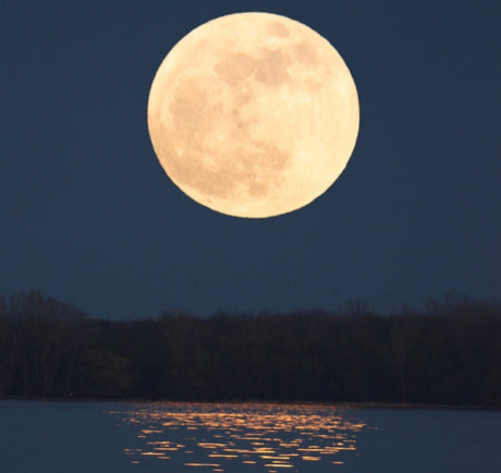 How to Photograph the Supermoon 2026