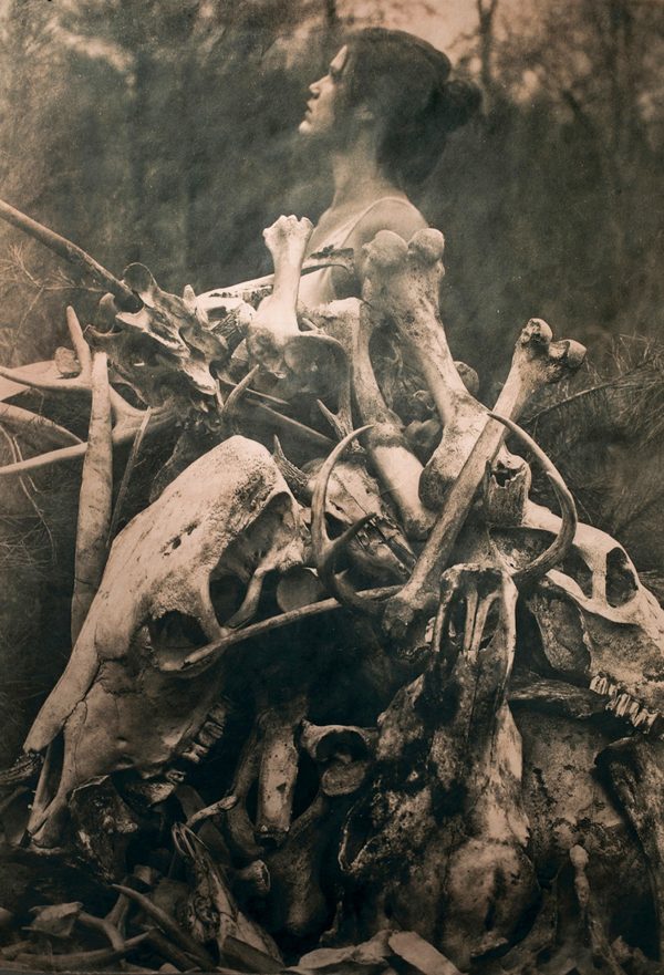 Interview: Jaime Johnson and the Southern Gothic