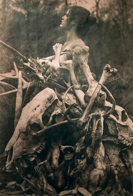 Interview: Jaime Johnson and the Southern Gothic