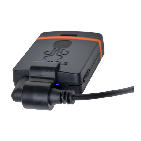 Signal & Video Management