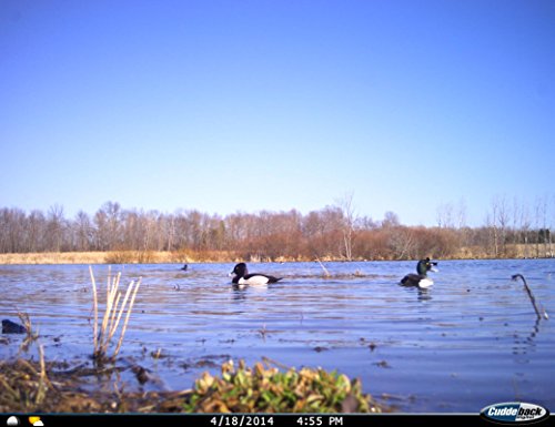 Cuddeback E3 Black Flash 20MP Trail Camera