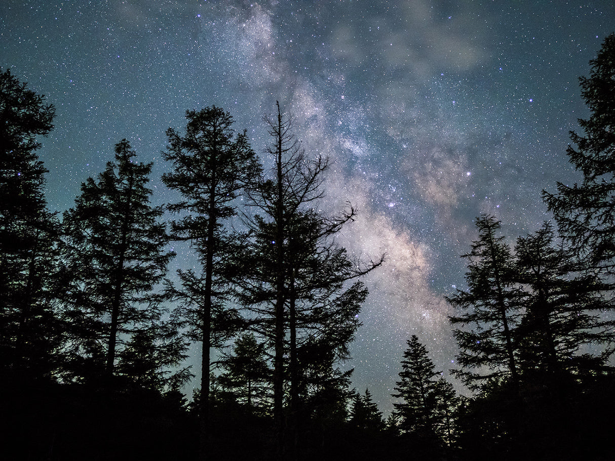 Olympus M.Zuiko Digital ED 17mm f/1.2 PRO Lens