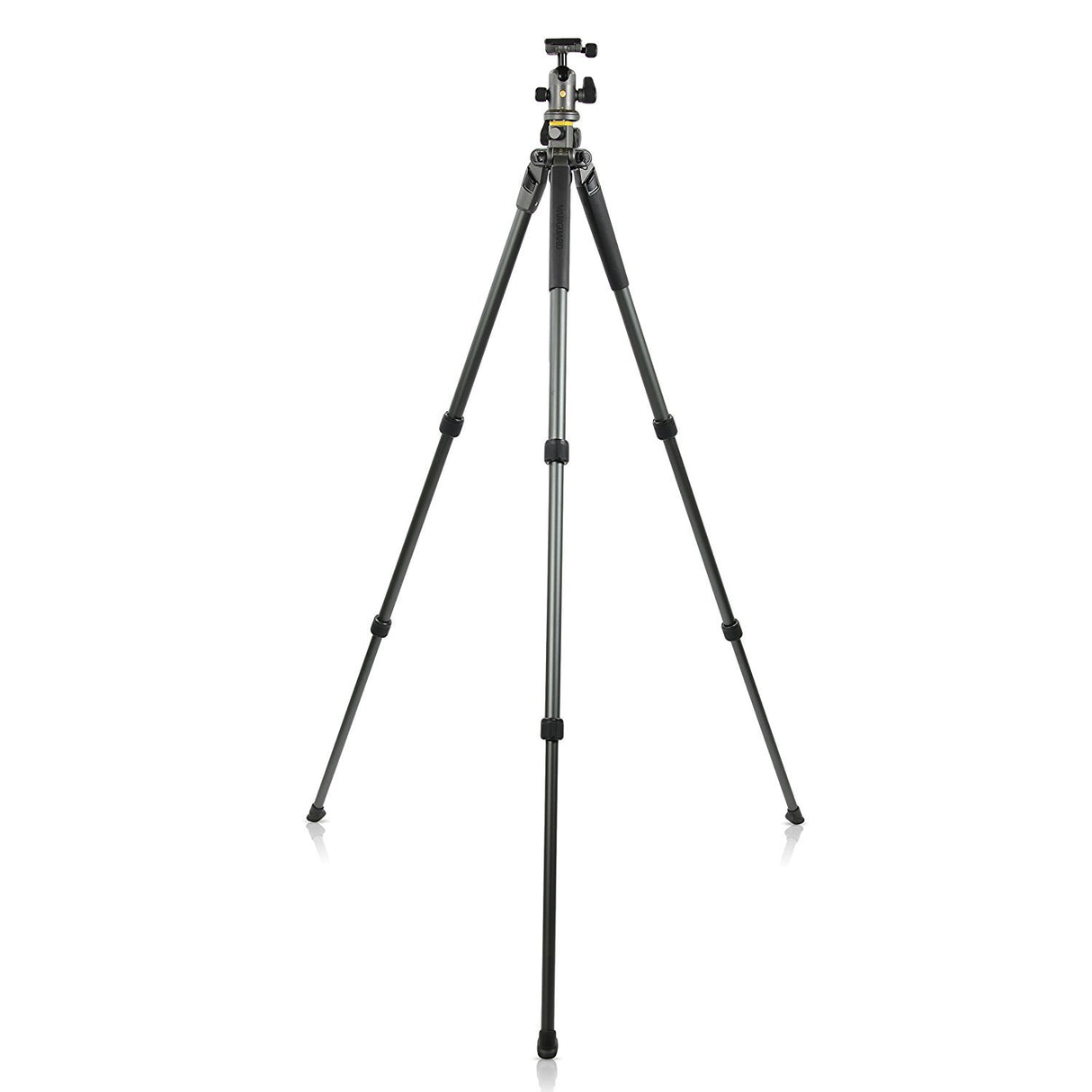 Vanguard Alta Pro 2+ 263AB 100 Aluminum Tripod w/ Alta BH-100 Ball Head